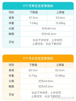 11个月宝宝身高体重标准
