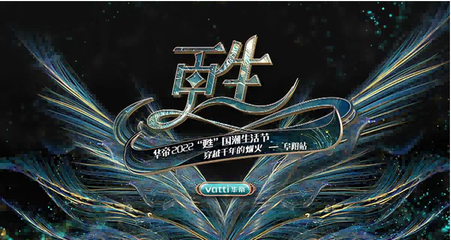 阜阳华帝橱柜专卖店