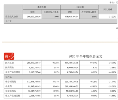 哪些人能查阅公司会计报告