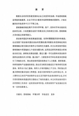 系统软件营销策略研究现状