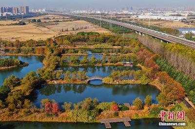 花桥湿地公园