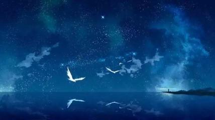 放生真的能改变命运吗