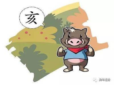 属猪和什么生肖相冲