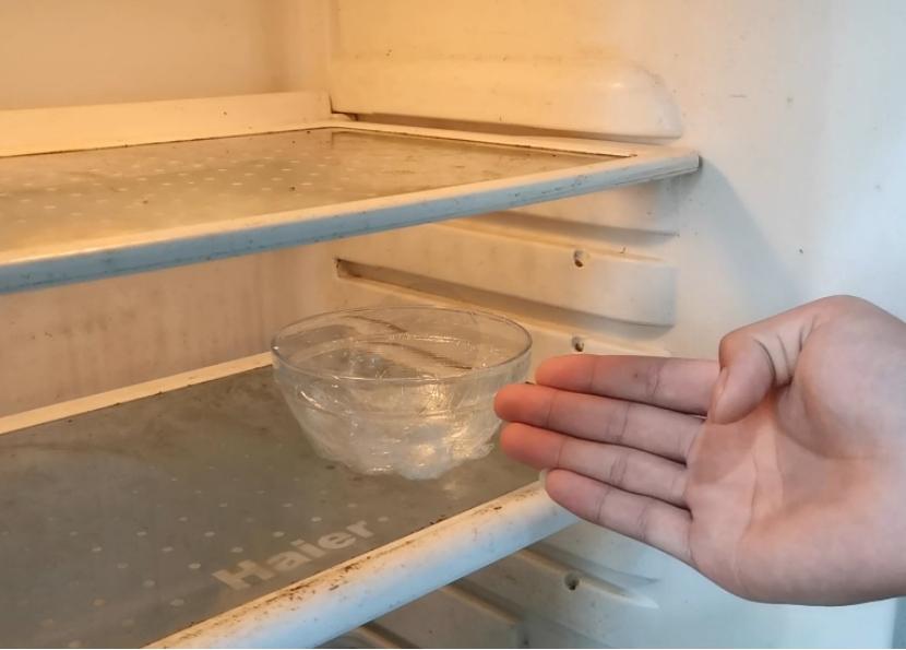 冰箱里的小飞虫哪来的
