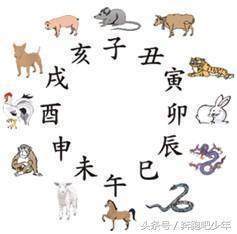 十二生肖的别称