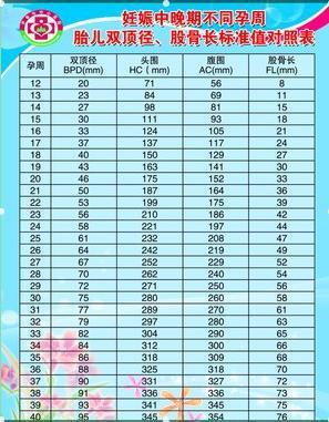 计算怀孕周数