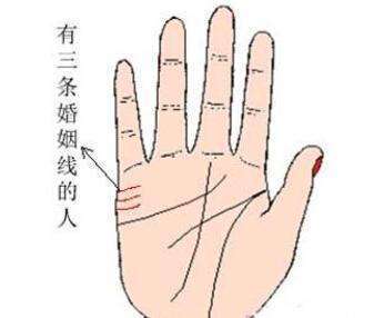 双婚姻线代表什么意思