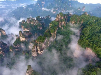 天门山景区需要预约吗