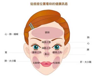 痘痘位置与健康