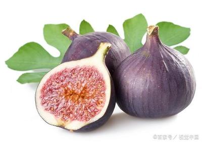 刚怀孕能吃无花果吗