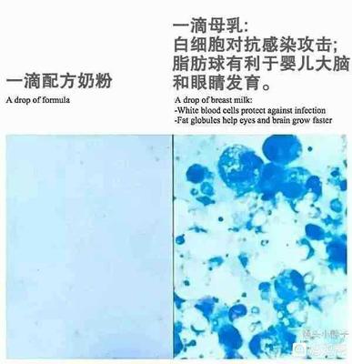 婴儿白血球低是怎么回事