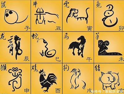 十二生肖排十三是什么生肖