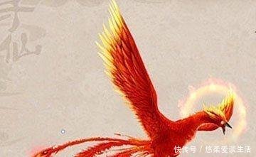 朱雀的性格