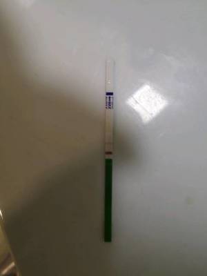 两杠是怀孕了吗