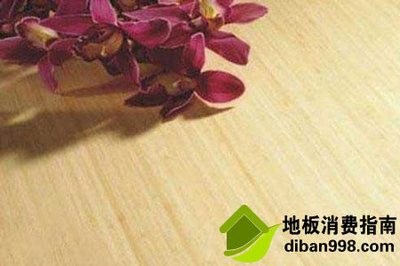 家林地板怎么样