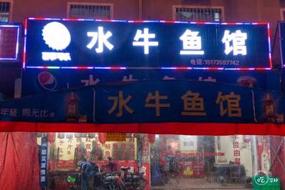 鱼馆的店名大全集