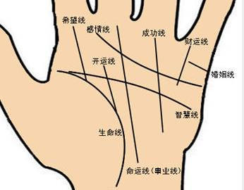 命运线止于智慧线