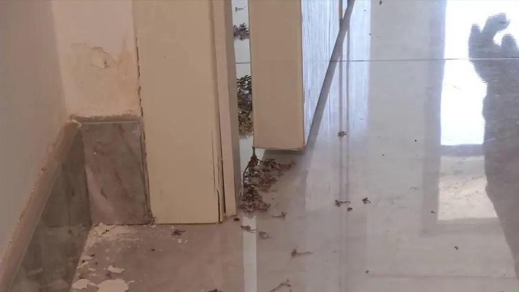 橱柜受潮起皮