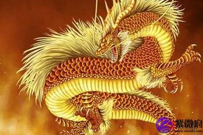 属龙和属鸡的婚姻怎样