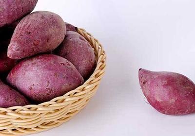 宝宝积食能吃红薯吗