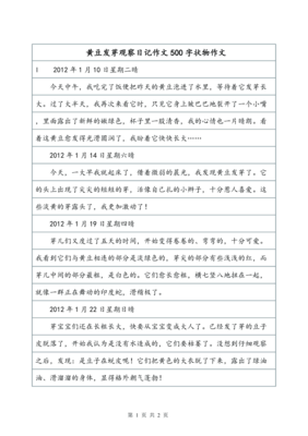 黄豆怎么发芽观察日记100字作文怎么写