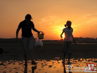 家里适合放什么植物