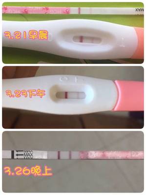 排卵期来了有什么症状