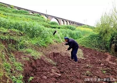 开荒地征地补偿