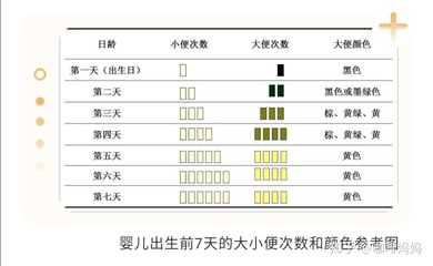 新生儿大小便次数多少正常
