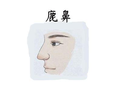 鼻子  面相
