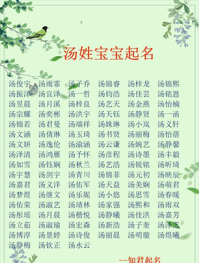 汤姓男孩名字