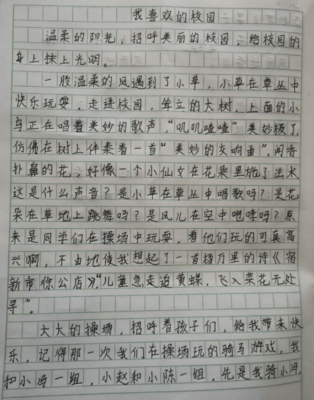 小学的计划作文500字作文怎么写