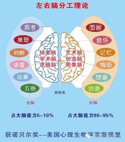 人脑开发100会怎样