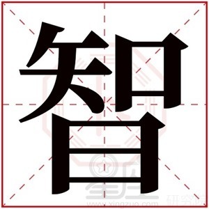 智字起名
