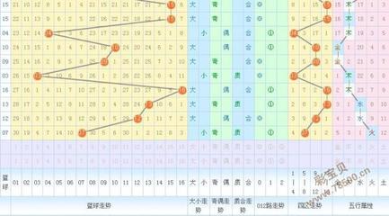洋属于五行属什么