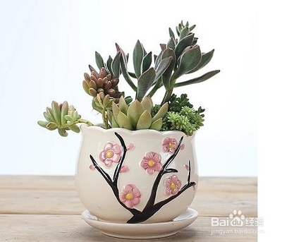 怎么装饰花盆