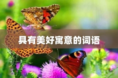 美好寓意的词