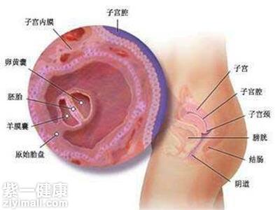 内膜薄要怎么治疗