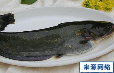 孕妇梦见轮船