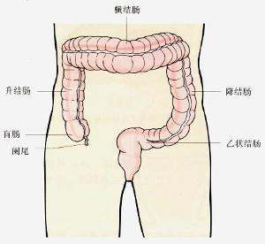 肠道有积气是怎么回事