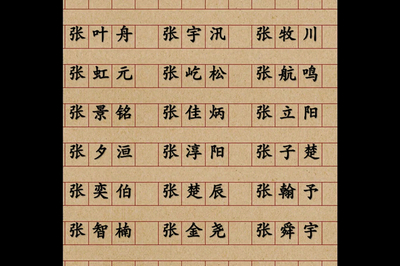 张取名字