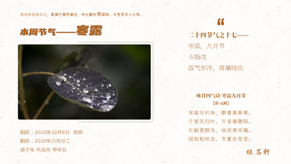 斗指哪个生肖