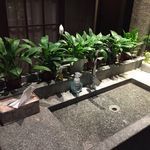 思妍丽原聚素长痘痘