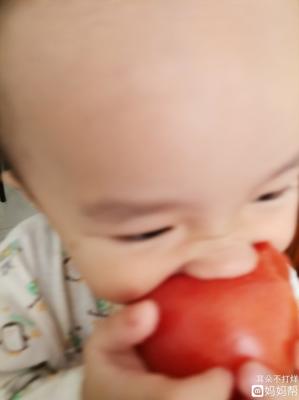 一岁宝宝吃西红柿好吗