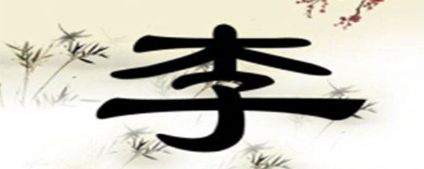 男孩李姓取名