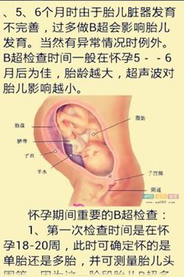 胎儿6个月发育情况