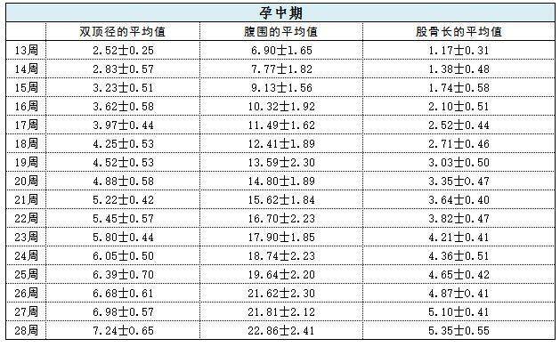 胎儿发育指标对照表