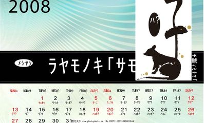 08年属相
