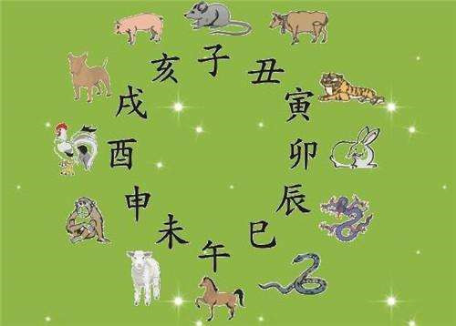 生肖猪最佳配对属相