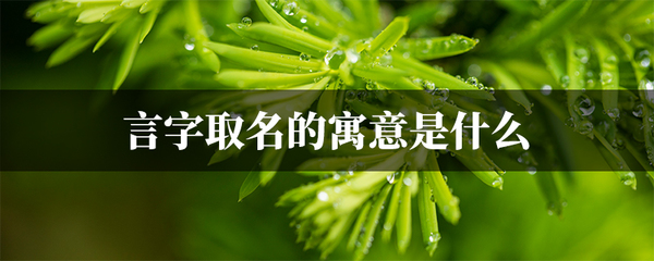 寓意诚信的字